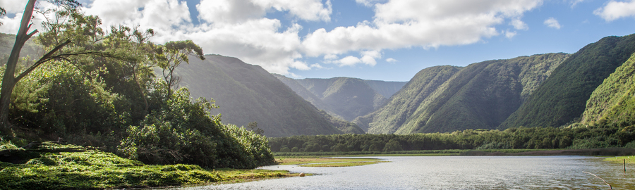 Hawaii - Polulu Valley